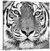 Tigre en blanco y negro - comprar online
