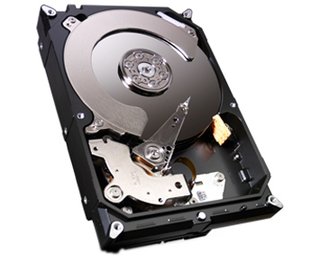 HD Interno Seagate 1TB SATA 600MB/s 7200rpm 64MB 3,5 HD Interno (ST1000DM003)