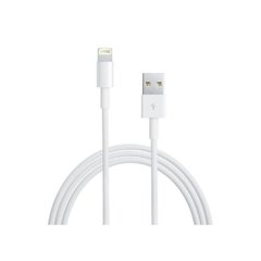 Cabo Lightning USB Apple com 1 metro para iPod, iPhone e iPad - MD818BZ/A - AEMD818BZA