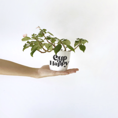 Maceta - CUP OF HAPPY - comprar online