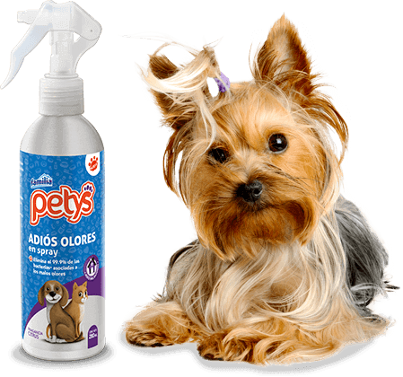 Tapetes absorbentes extra gruesos para perros - Petys