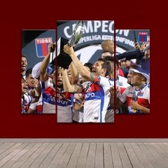 Cuadro Triptico Irregular Tigre Campeon Copa Superliga 2019, festejo