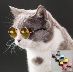 Oculos p/ Gatos