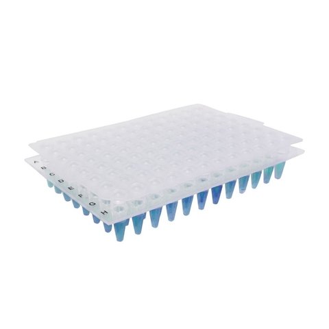 Borracha Seladora Para Microplacas De PCR - 96 poços - Transparente - 5 und