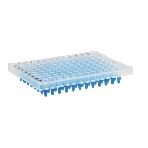 Microplaca De PCR 96 Poços - Meia Borda - 25 und