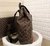 Imagem do Mochila Louis Vuitton Palk - M40637