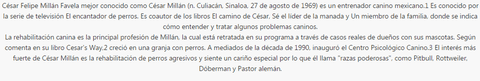 Colección Cesar Millán, El Encantador De Perros, Libros, Pdf - Daferty