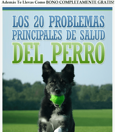 Adiestramiento Canino, Tener El Control Total Del Perro+bono - Daferty