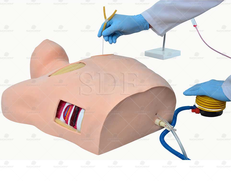 Simulador de Drenagem Torácica SD 4045 Sdorf Scientific