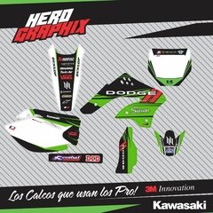 Kawasaki en internet