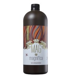 Kit Alisante de Cabelo MAG Magnífica Biopolimerização 2x1L - comprar online