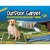 Bandeja Sanitaria Perros Paño Pet® Carpet Outdoor Max