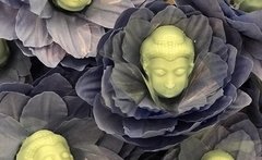 forminhas-flor-de-lotus