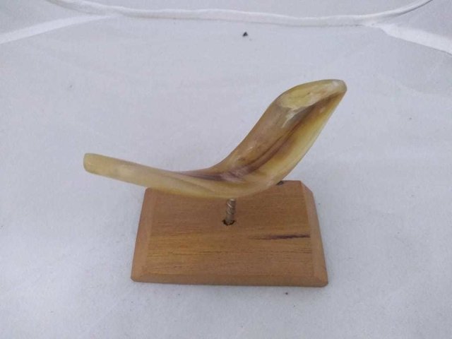 shofar de adorno en internet