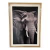 Cuadro cajon elefante marco roble fondo blanco