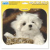 1132-Mouse Pad Cão Branco na internet