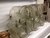 Baleiro De Vidro Antigo Tatu Com 7 Compartimentos - B Collection