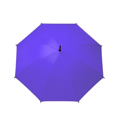 Paraguas 134 en internet