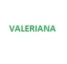 Valeriana 100 grms.