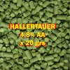 Lúpulo Hallertauer X 20 Grs - Cerveza Artesanal