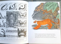 Panthera tigris - Libros Revueltos