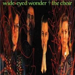 The Choir - Wide Eyed Wonder (cd 1989) Cd Raro
