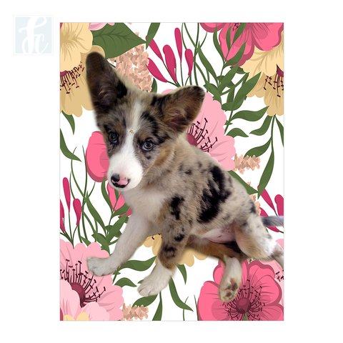 Placa Decor Pet Personalizada - Floral Rosa