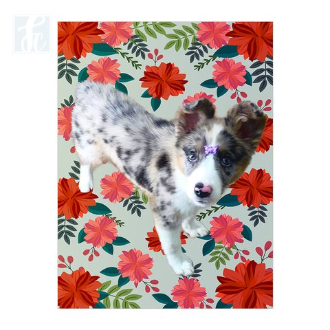 Placa Decor Pet Personalizada - Floral Vermelho