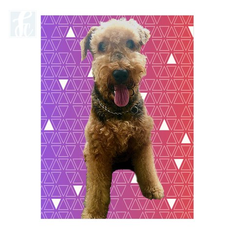 Placa Decor Pet Personalizada - Mini Triângulos