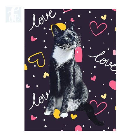 Placa Decor Pet Personalizada - Love