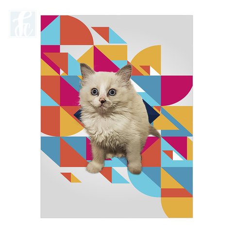 Placa Decor Pet Personalizada - Geométrico Rosa, Laranja e Turquesa