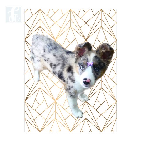 Placa Decor Pet Personalizada - Geometric Rosé Gold