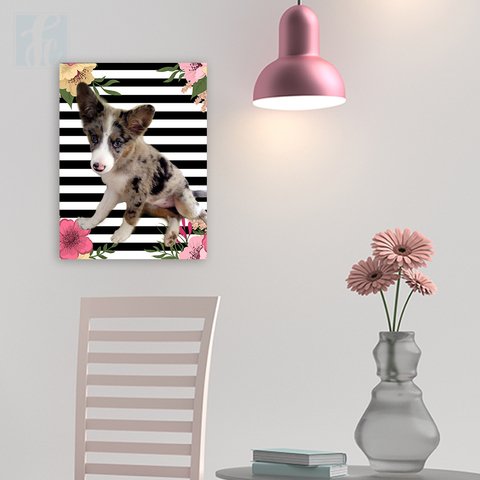 Placa Decor Pet Personalizada - Listras Pretas e Brancas com Flores - comprar online