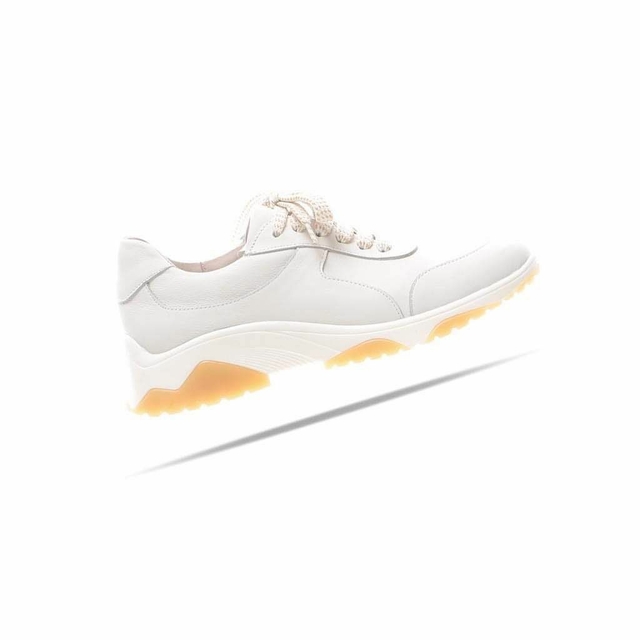 ZAPATILLA CANDY ZAPATILLA CANDY