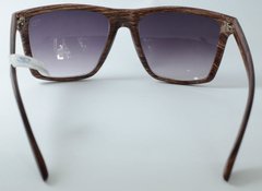 Óculos Solar New Glasses NG1164 - NEW GLASSES ÓTICA