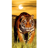 Toalha de Praia Resort Aveludada - 100% Algodão - 76cm x 1,52m - Tiger at Sunset - Buettner
