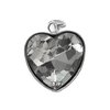Dije acero blanco corazon con piedra facetada transparente 3 cm D&K - 1300CZ-23