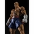 Imagem do Action Figure Street Fighter V Sagat Bandai S H Figuarts