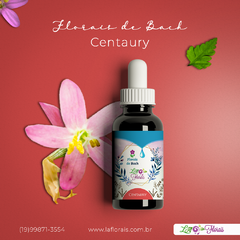 Floral de Bach - Centaury 30ml - comprar online