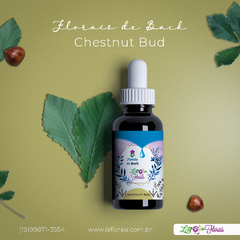 Floral de Bach - Chestnut Bud 30ml - comprar online