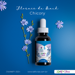 Floral de Bach - Chicory 30ml - comprar online