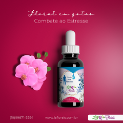 Floral em Gotas - Combate ao Estresse 30 ml - comprar online