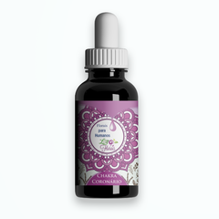 Floral - Chakra Coronário 30ml na internet