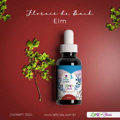 Floral de Bach - Elm 30ml - comprar online
