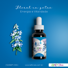 Floral Em Gotas - Energia e Vitalidade 30ml - comprar online