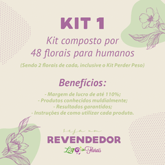 Kit de Revendas - Florais para Humanos - comprar online