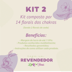Kit de Revendas - Florais dos Chakras - comprar online