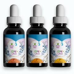 Kit Floral Em Gotas - Equilíbrio Alimentar (3 Florais) - comprar online