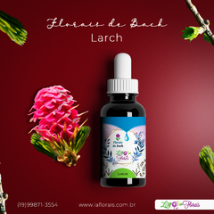 Floral de Bach - Larch 30 ml - comprar online