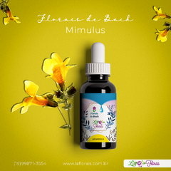 Floral de Bach - Mimulus 30 ml - comprar online